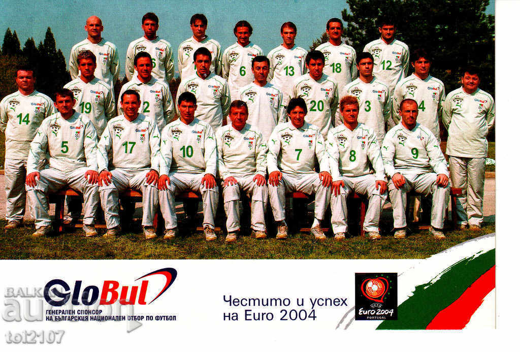 Echipa națională de fotbal a Bulgariei Euro 2004 - fotografie