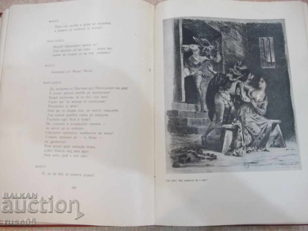 Delivery of Faust - Johann Wolfgang Goethe Book - 496 pages