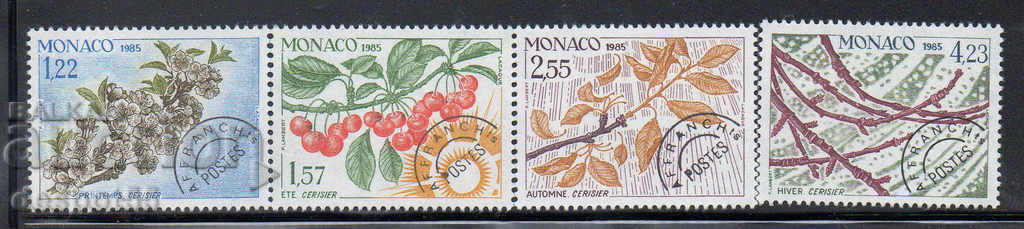 1985. Monaco. The four seasons of the cherry - rean.