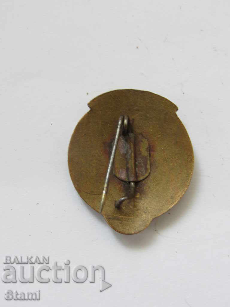 Delivery of Badge: MICUL TURIST ROMANIA Delivery of Badge: MICUL TURIST ROMANIA