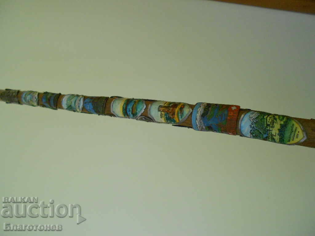 Доставка на Туристически бастун значки