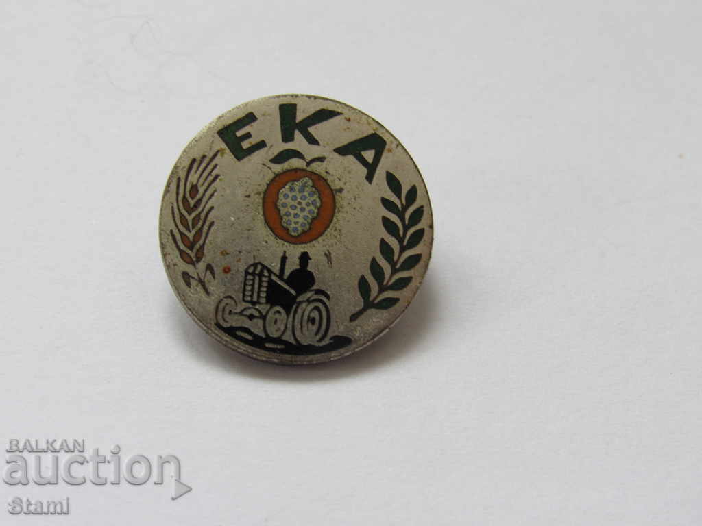 Delivery of Badge- ESA GDR Delivery of Badge- ESA GDR