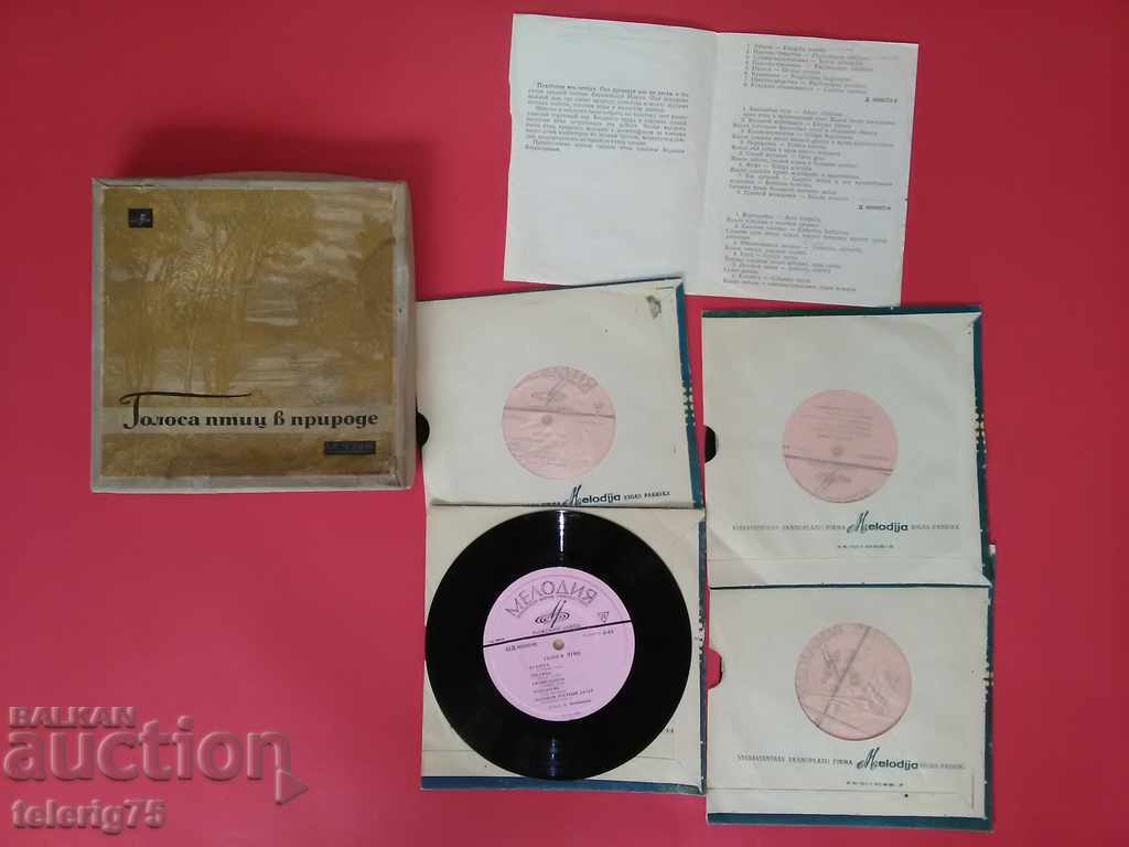 Collection Gramophone Plates' The Birds' Gravity in Nature ' with price 40.00 BGN | € 20.45 Collection Gramophone Plates' The Birds' Gravity in Nature ' with price 40.00 BGN | € 20.45
