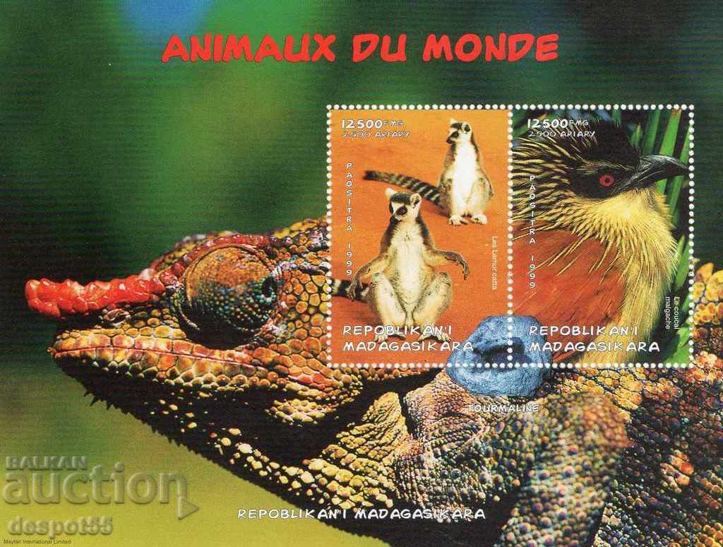 1999. Мадагаскар. Животните по света. Блок.