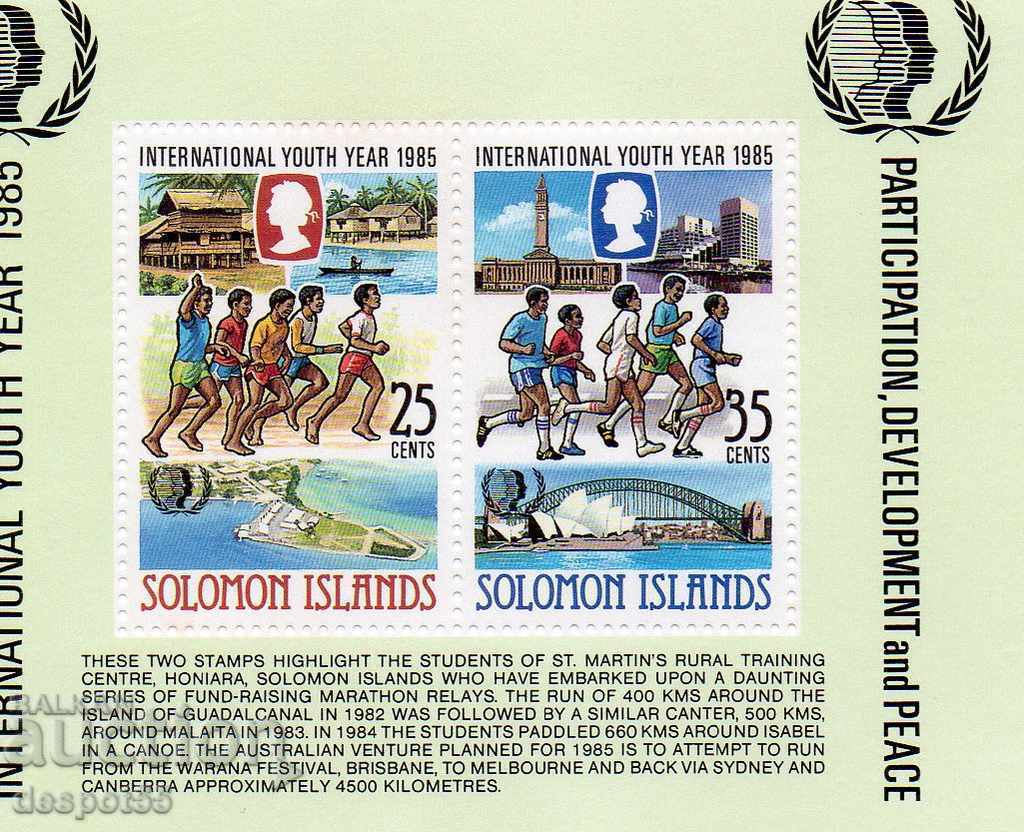 1985. Solomon Islands. International Year of Youth. Block