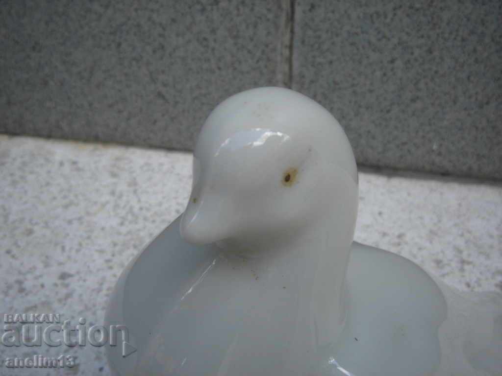 STAR PORCELAIN JUST with price 39.00 BGN | € 19.94 STAR PORCELAIN JUST with price 39.00 BGN | € 19.94