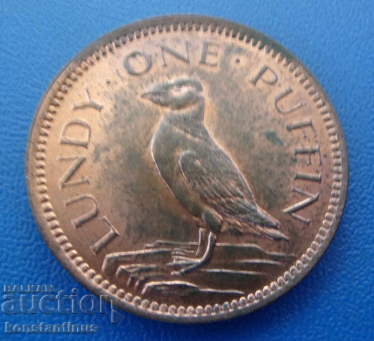 Lundy Island 1 Puffin 1929 UNC Foarte rar