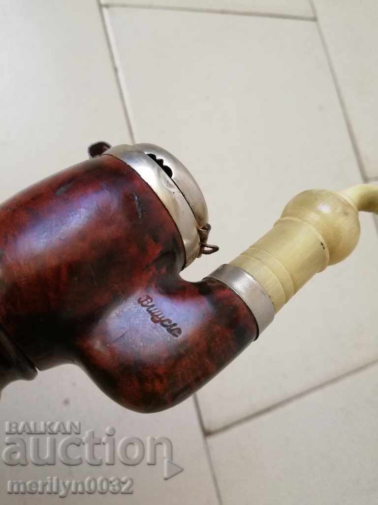 Delivery of Old pipe of bakelite bone, luxury chihuahua, a mug