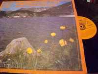VEA 11797 Pioneering Echo - Children's Mountain Songs