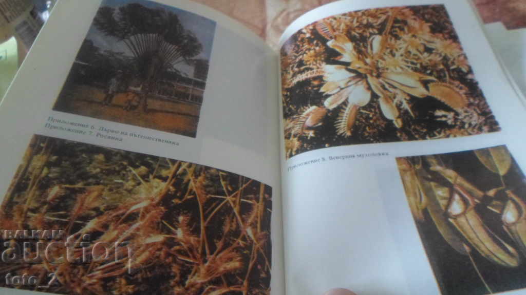 Δημοπρασία ΧΡΗΣΤΟΜΑΘΕΙΑ ΣΤΗ ΒΙΟΛΟΓΙΑ - ΒΟΤΑΝΙΚΗ Δημοπρασία ΧΡΗΣΤΟΜΑΘΕΙΑ ΣΤΗ ΒΙΟΛΟΓΙΑ - ΒΟΤΑΝΙΚΗ