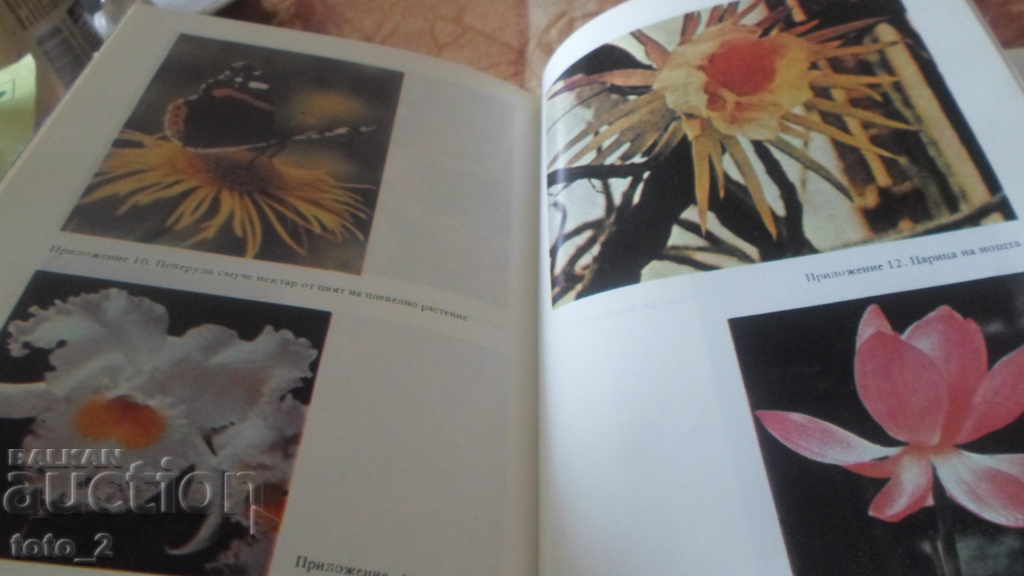 Παράδοση ΧΡΗΣΤΟΜΑΘΕΙΑ ΣΤΗ ΒΙΟΛΟΓΙΑ - ΒΟΤΑΝΙΚΗ Παράδοση ΧΡΗΣΤΟΜΑΘΕΙΑ ΣΤΗ ΒΙΟΛΟΓΙΑ - ΒΟΤΑΝΙΚΗ