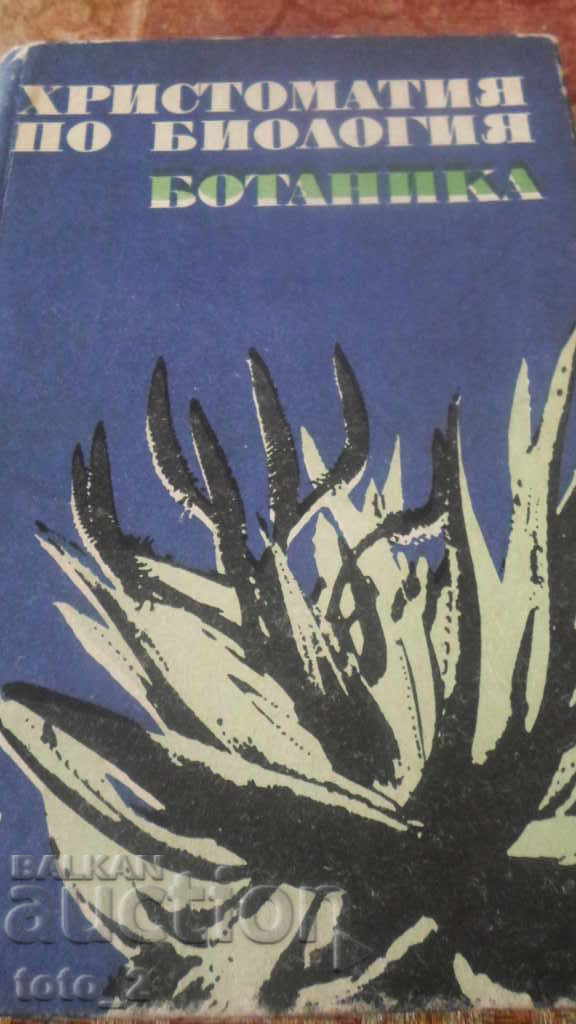 ΧΡΗΣΤΟΜΑΘΕΙΑ ΣΤΗ ΒΙΟΛΟΓΙΑ - ΒΟΤΑΝΙΚΗ ΧΡΗΣΤΟΜΑΘΕΙΑ ΣΤΗ ΒΙΟΛΟΓΙΑ - ΒΟΤΑΝΙΚΗ