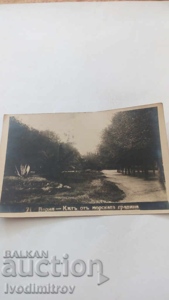 Postcard Varna Court of the Sea Garden 1927