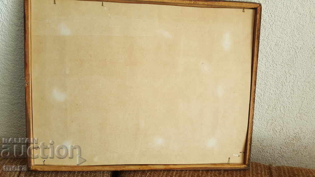 Livrarea Vechea acuarelă a autorului