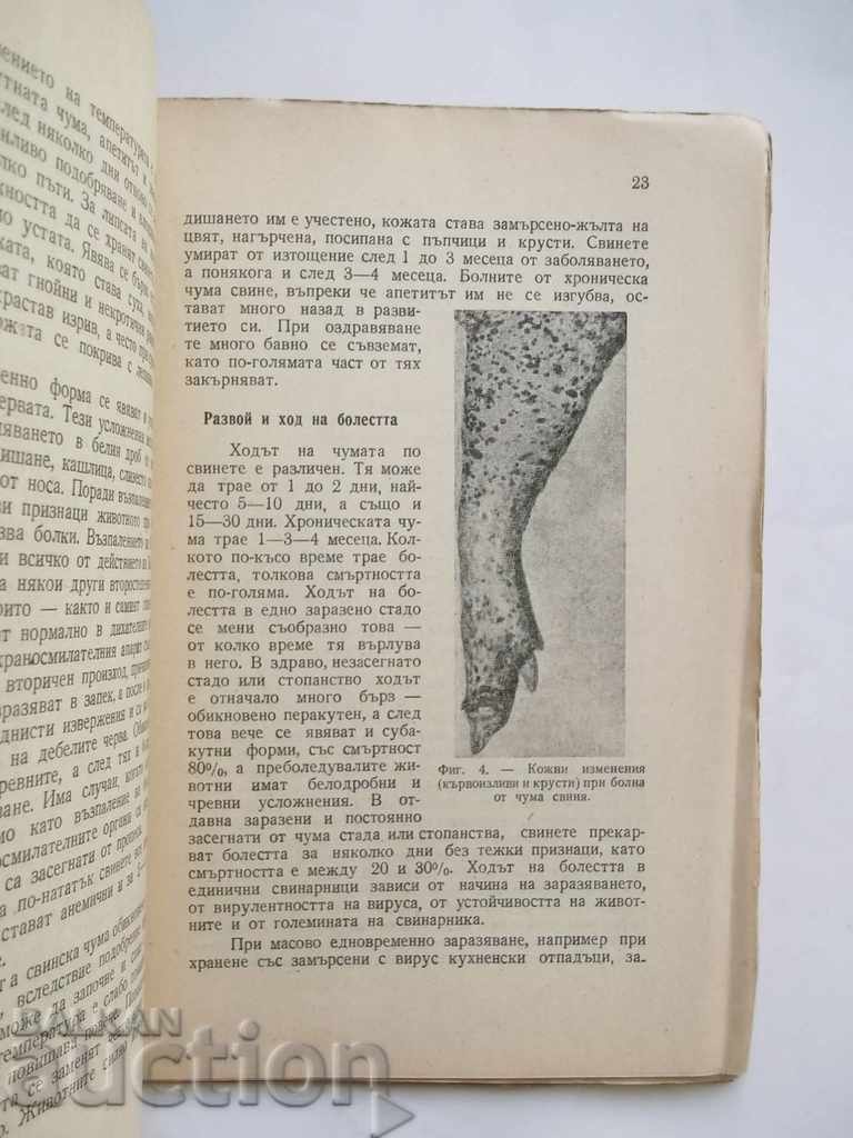 The swarm of the pigs and the struggle with it - Ilia Kuyumdzhiev 1949 with price 10.00 BGN | € 5.11 The swarm of the pigs and the struggle with it - Ilia Kuyumdzhiev 1949 with price 10.00 BGN | € 5.11