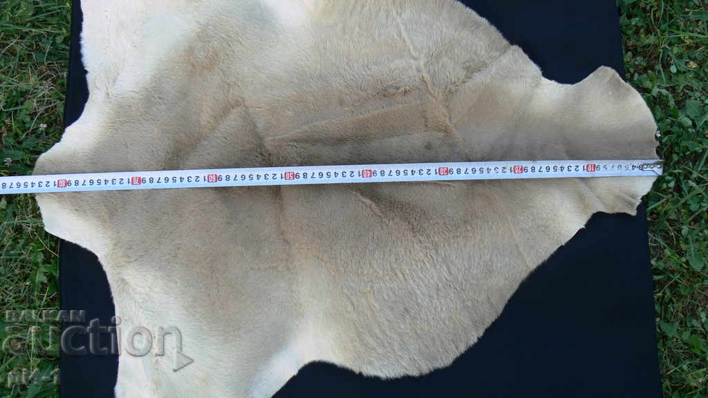 SKIN SKIN with price 300.00 BGN | € 153.39 SKIN SKIN with price 300.00 BGN | € 153.39