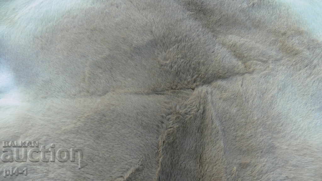 Delivery of SKIN SKIN Delivery of SKIN SKIN