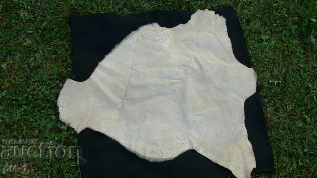 SKIN SKIN - 5 SKIN SKIN - 5