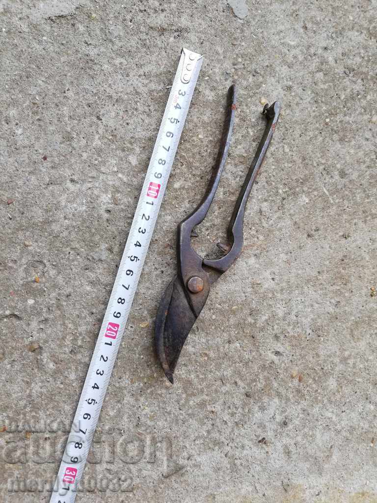 Παράδοση Γερμανικά αμπέλια από χάλυβα κροκοδειλών 30 ετών Παράδοση Γερμανικά αμπέλια από χάλυβα κροκοδειλών 30 ετών