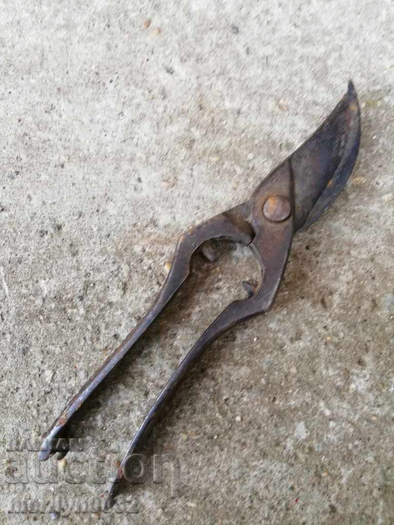 Γερμανικά αμπέλια από χάλυβα κροκοδειλών 30 ετών - 5 Γερμανικά αμπέλια από χάλυβα κροκοδειλών 30 ετών - 5