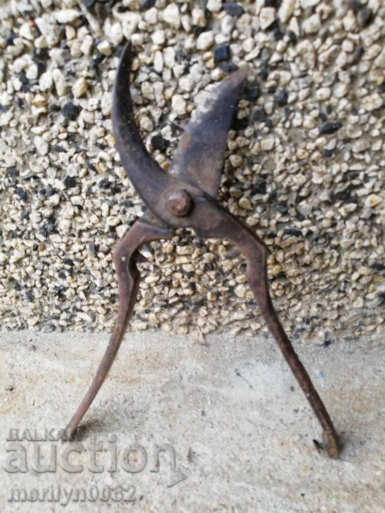 Γερμανικά αμπέλια από χάλυβα κροκοδειλών 30 ετών - 6 Γερμανικά αμπέλια από χάλυβα κροκοδειλών 30 ετών - 6