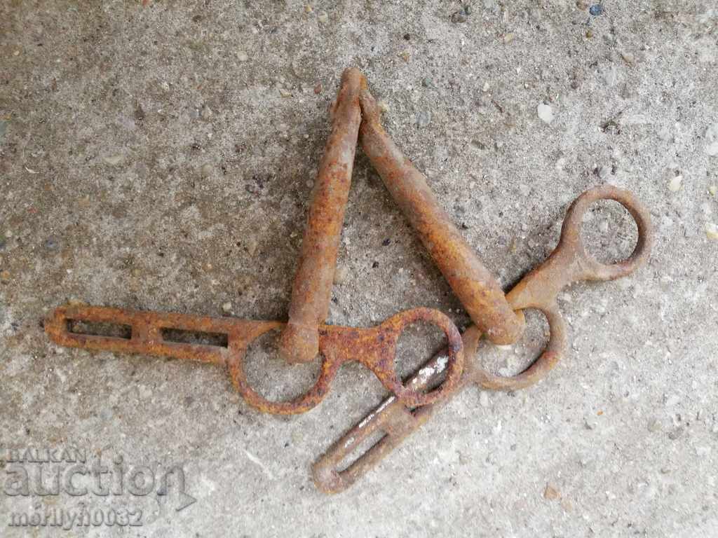 Delivery of An old forged bridle reins wrought iron, a harness Delivery of An old forged bridle reins wrought iron, a harness