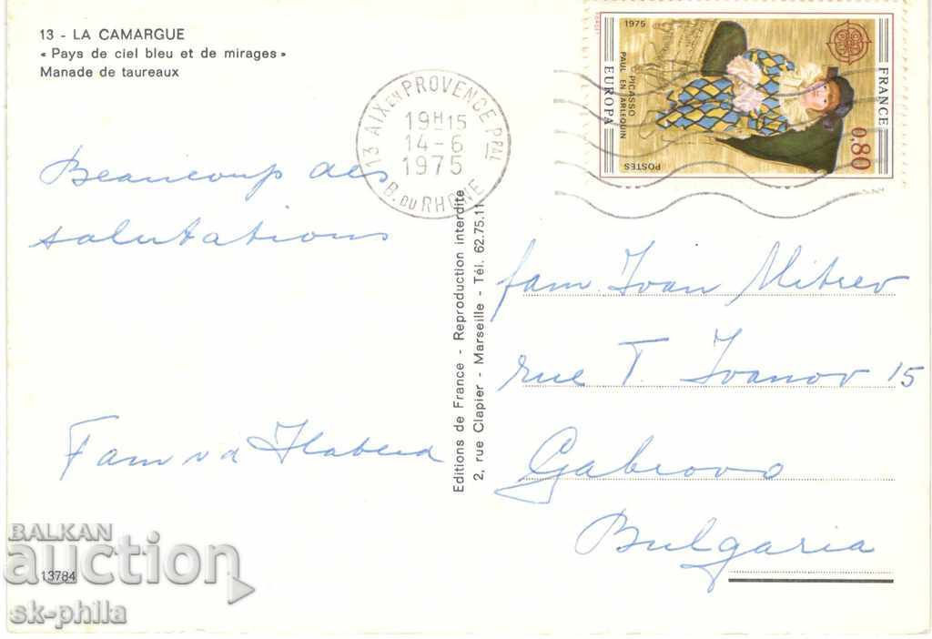 Old card - Fauna - African buffalo herd with price 1.50 BGN | € 0.77 Old card - Fauna - African buffalo herd with price 1.50 BGN | € 0.77