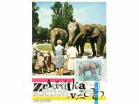 Old card - Fauna - Elephants in zoo