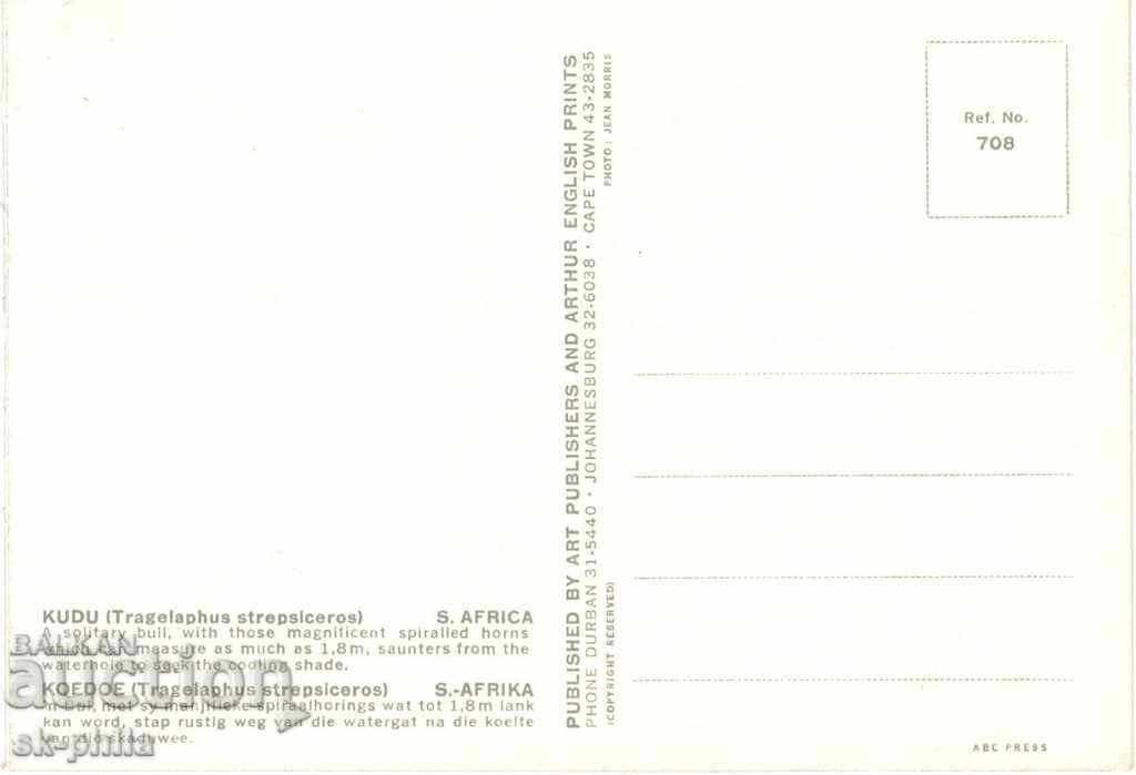 Old card - Fauna - Antilopa Kudou with price 1.20 BGN | € 0.61 Old card - Fauna - Antilopa Kudou with price 1.20 BGN | € 0.61