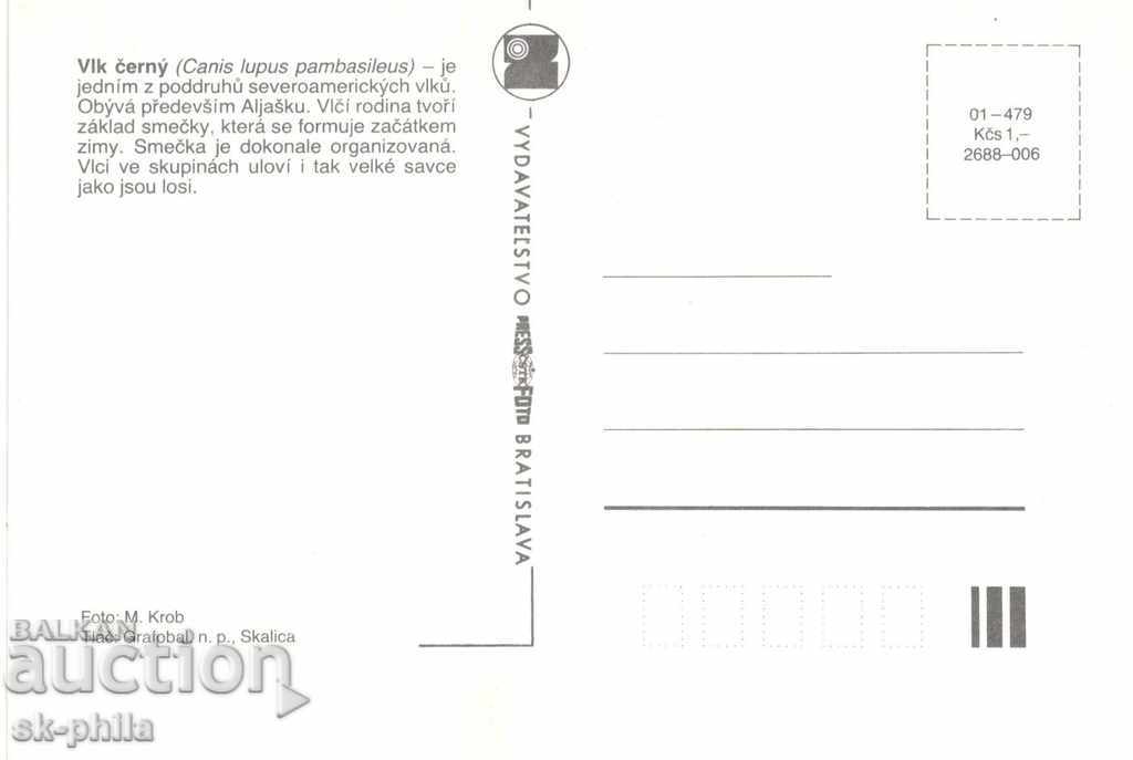 Old card - Fauna - Wolf with price 1.50 BGN | € 0.77 Old card - Fauna - Wolf with price 1.50 BGN | € 0.77