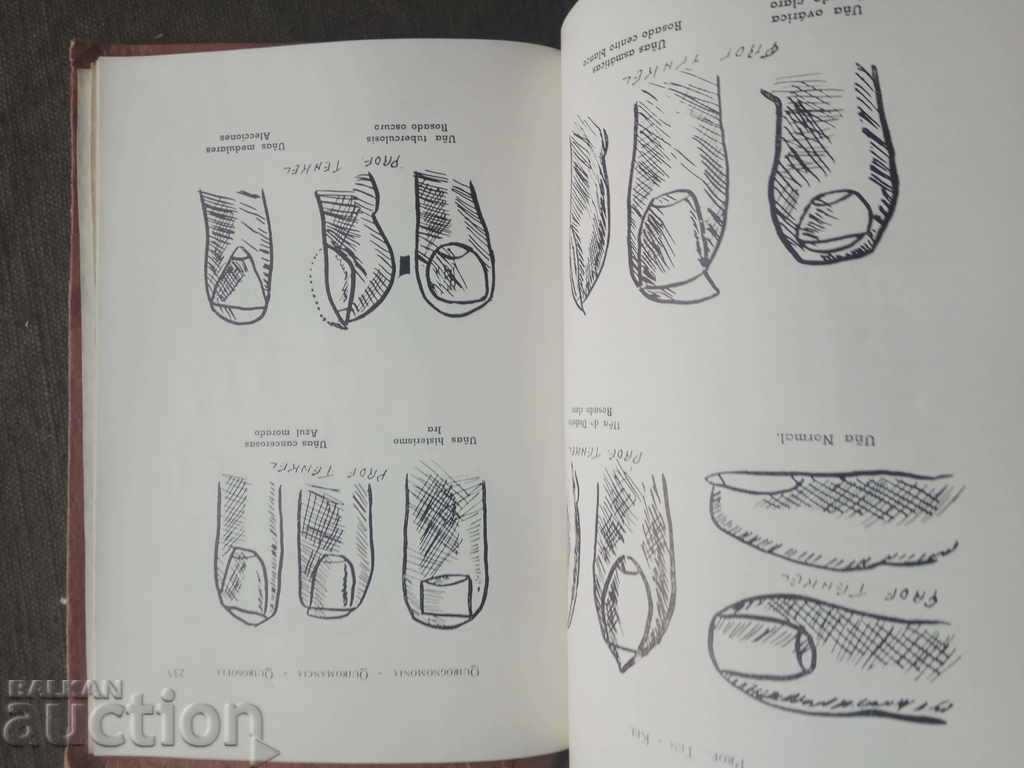 Que Dicen Sus Manos. Professor Ten - Kel (Metodo Quirosofia) - 6 Que Dicen Sus Manos. Professor Ten - Kel (Metodo Quirosofia) - 6