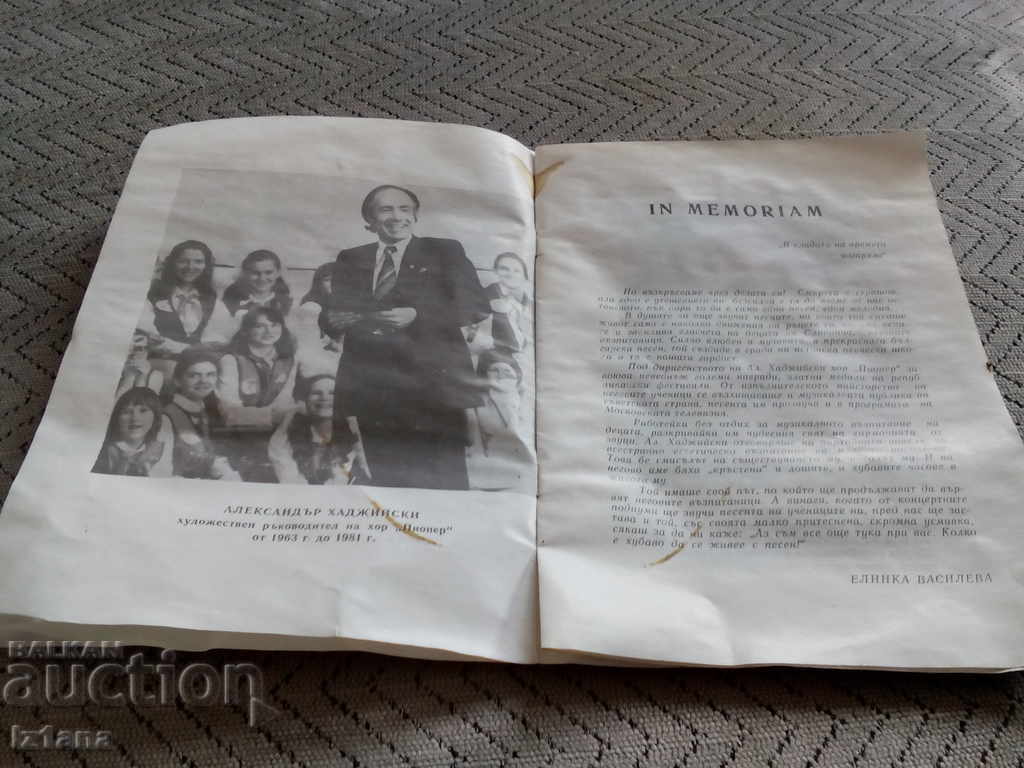 Auction  Old brochure 20 years HOR PIONEER