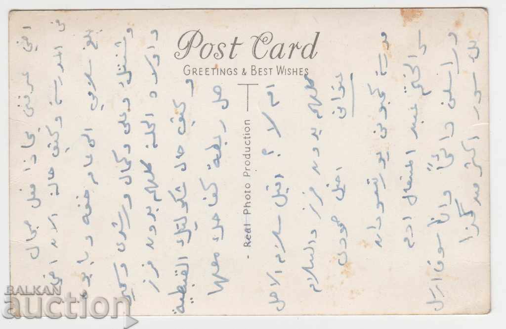 Καρτ ποστάλ. Πορτ Σουδάν. Αφρική με τιμή 5.90 BGN | € 3.02 Καρτ ποστάλ. Πορτ Σουδάν. Αφρική με τιμή 5.90 BGN | € 3.02