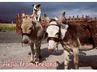 Old card - Humor - Free transport in Ireland