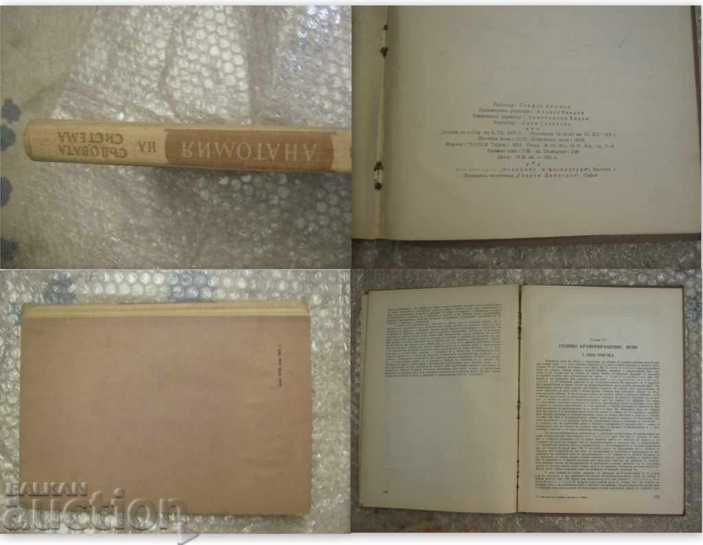 Medicine. Anatomy of the vascular system with price 16.90 BGN | € 8.64 Medicine. Anatomy of the vascular system with price 16.90 BGN | € 8.64