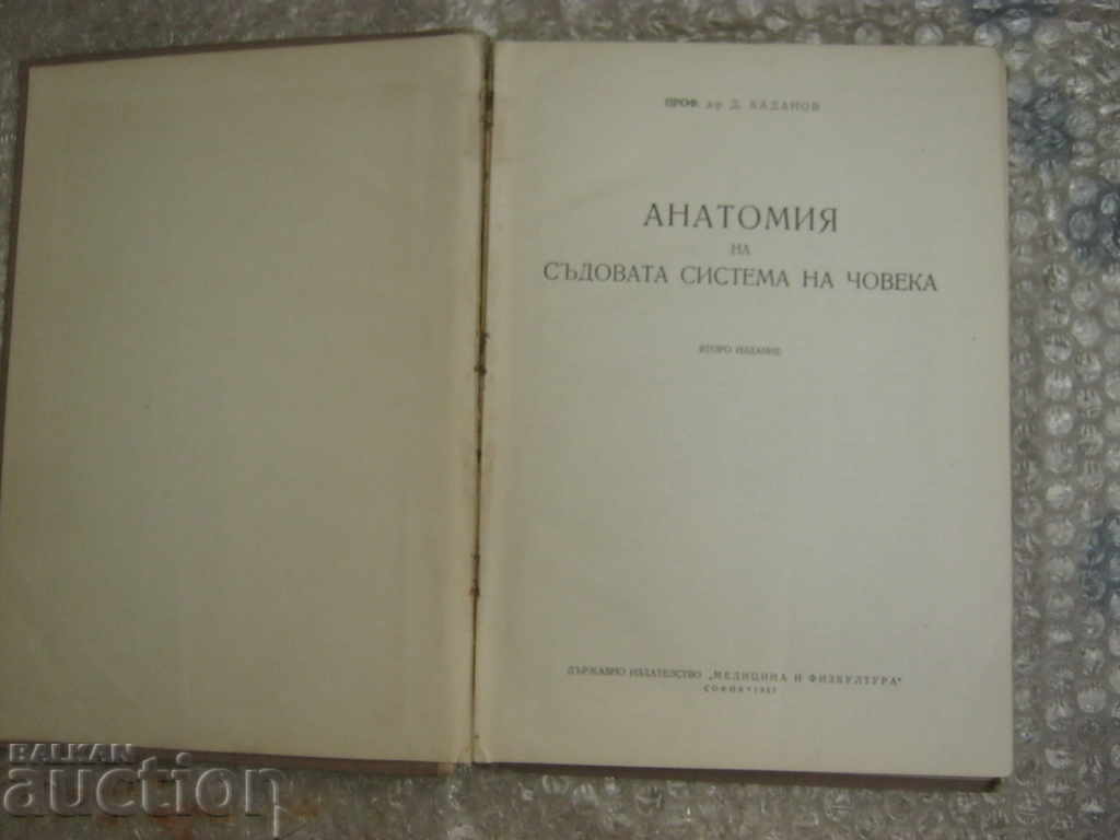 Auction Medicine. Anatomy of the vascular system Auction Medicine. Anatomy of the vascular system