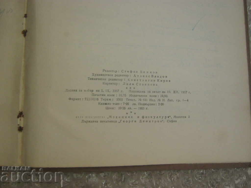 Medicine. Anatomy of the vascular system - 7 Medicine. Anatomy of the vascular system - 7