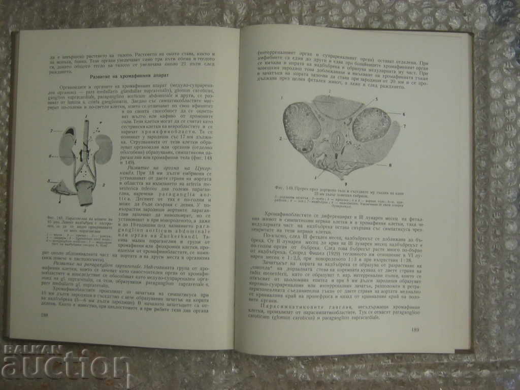 Delivery of Medicine. Embryology Delivery of Medicine. Embryology