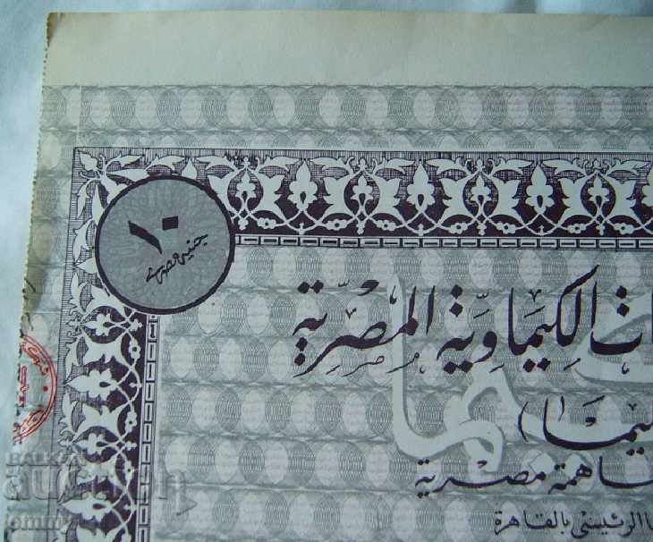 5 shares of the Egyptian Chemical Industry Company 195 with price 24.00 BGN | € 12.27