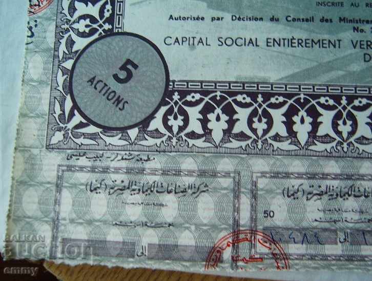 Delivery of 5 shares of the Egyptian Chemical Industry Company 195