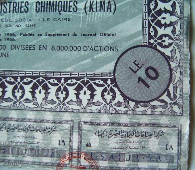 5 shares of the Egyptian Chemical Industry Company 195 - 5