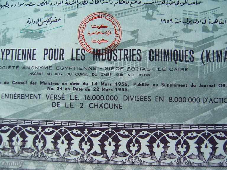 5 shares of the Egyptian Chemical Industry Company 195 - 6