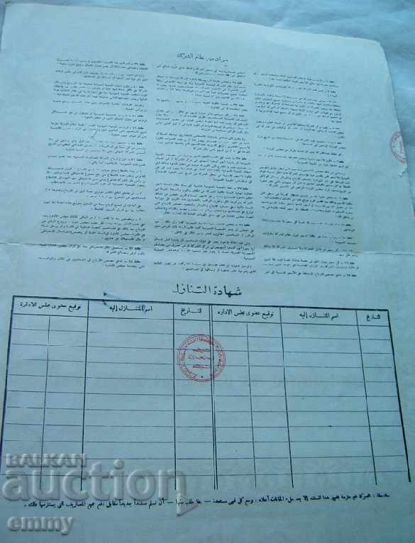 5 shares of the Egyptian Chemical Industry Company 195 - 7