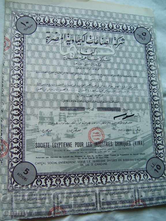 5 shares of the Egyptian Chemical Industry Company 195