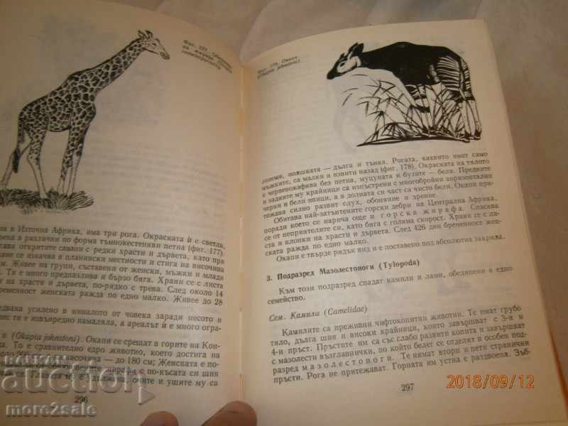 Delivery of PROF. GEORGI MARKOV - BOSSINIERS - 1972/418 PAGES Delivery of PROF. GEORGI MARKOV - BOSSINIERS - 1972/418 PAGES