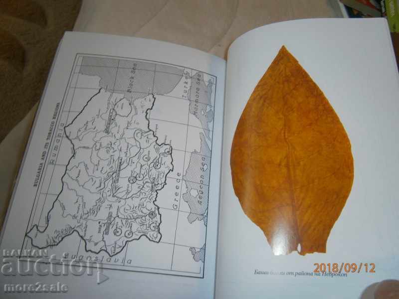 KOICHO BELCHEV - TOBACCO IN BULGARIA - 2006/268 PAGES - 6 KOICHO BELCHEV - TOBACCO IN BULGARIA - 2006/268 PAGES - 6