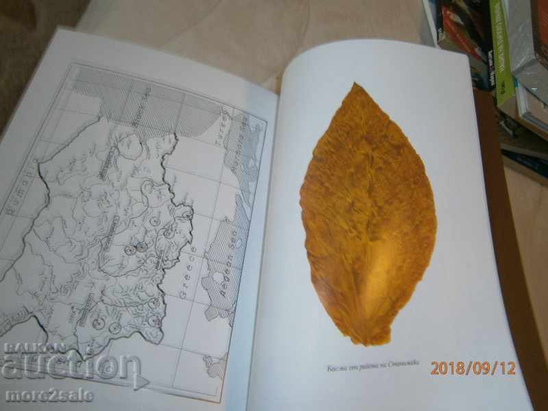 KOICHO BELCHEV - TOBACCO IN BULGARIA - 2006/268 PAGES - 7 KOICHO BELCHEV - TOBACCO IN BULGARIA - 2006/268 PAGES - 7