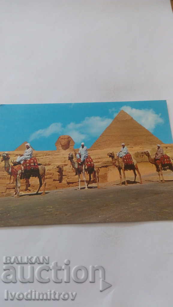 Cartea poștală Gisa Marele Sfinx și Piramida lui Khephren