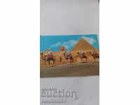 Postcard Gisa The Great Sphinx and Khephren Pyramid