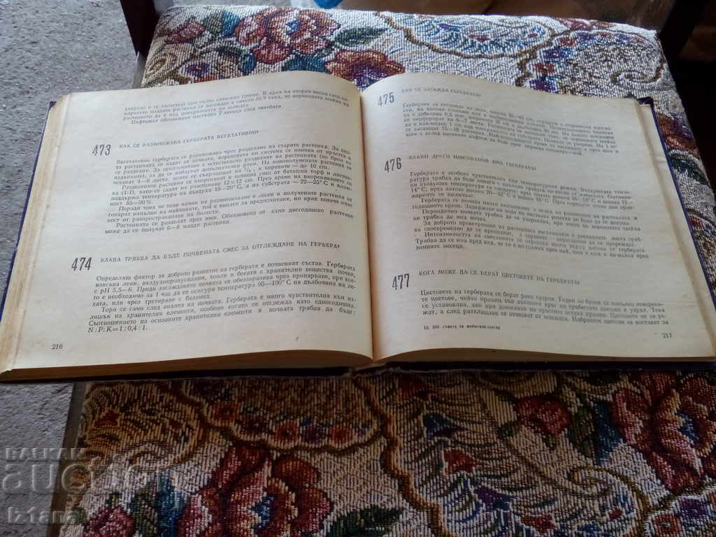 Book 599 Council for the Florist Lovers - 5 Book 599 Council for the Florist Lovers - 5